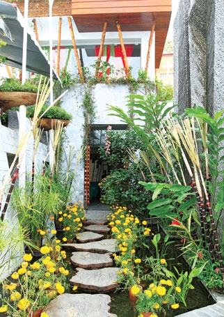 Làm sao để "mềm hoá" không gian quanh nhà?